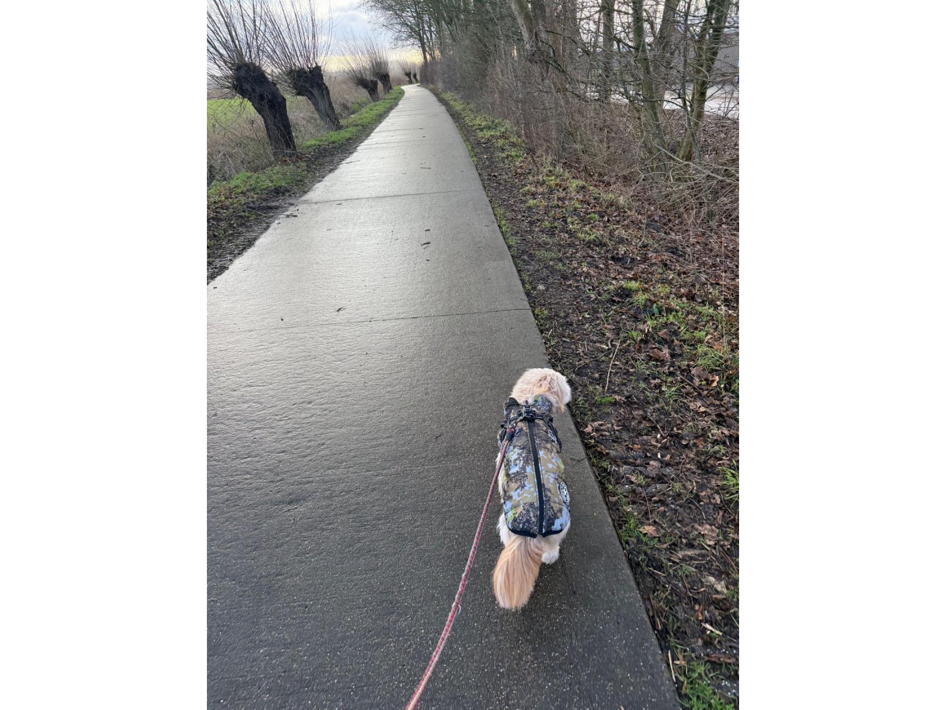 Spaziergang am Park